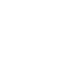 Lion Forklift Konya